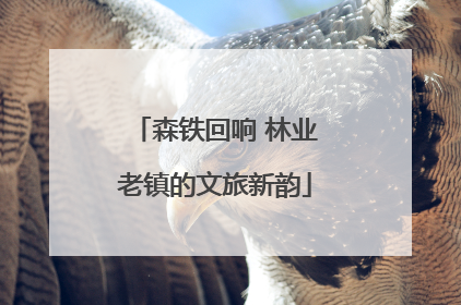 森铁回响 林业老镇的文旅新韵