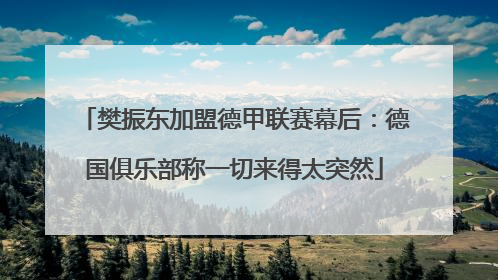樊振东加盟德甲联赛幕后：德国俱乐部称一切来得太突然