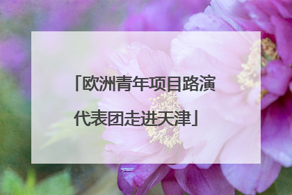 欧洲青年项目路演代表团走进天津