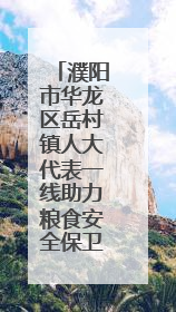 濮阳市华龙区岳村镇人大代表一线助力粮食安全保卫战