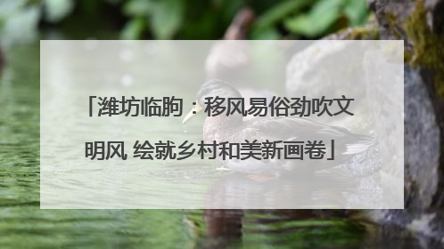 潍坊临朐：移风易俗劲吹文明风 绘就乡村和美新画卷