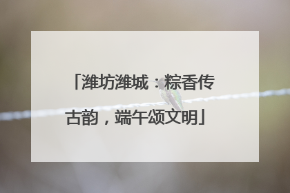 潍坊潍城：粽香传古韵，端午颂文明