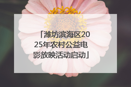 潍坊滨海区2025年农村公益电影放映活动启动