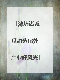 潍坊诸城：瓜甜葱郁处 产业好风光