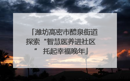 潍坊高密市醴泉街道探索“智慧医养进社区” 托起幸福晚年