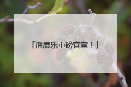 潘展乐重磅官宣！