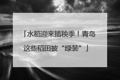 水稻迎来插秧季！青岛这些稻田披“绿装”
