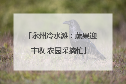 永州冷水滩：蔬果迎丰收 农园采摘忙