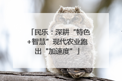民乐：深耕“特色+智慧”现代农业跑出“加速度”