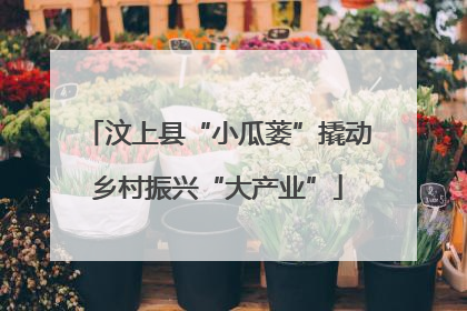 汶上县“小瓜蒌”撬动乡村振兴“大产业”