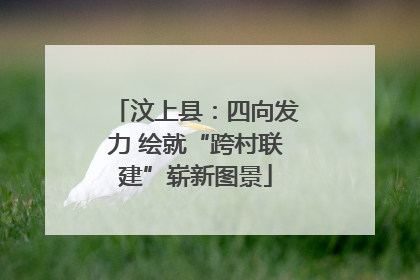 汶上县：四向发力 绘就“跨村联建”崭新图景