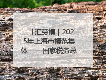 汇劳模｜2025年上海市模范集体——国家税务总局上海市徐汇区税务局第一税务所