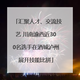 汇聚人才、交流技艺 川南渝西近300名选手在酒城泸州展开技能比拼