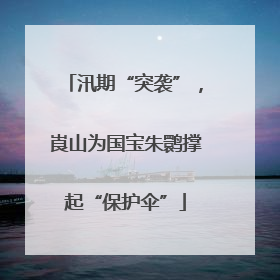 汛期“突袭”，崀山为国宝朱鹮撑起“保护伞”