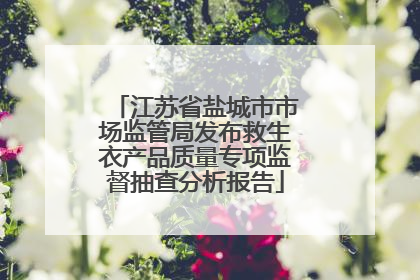 江苏省盐城市市场监管局发布救生衣产品质量专项监督抽查分析报告