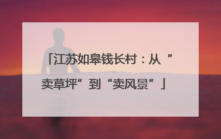 江苏如皋钱长村：从“卖草坪”到“卖风景”