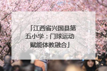 江西省兴国县第五小学：门球运动赋能体教融合
