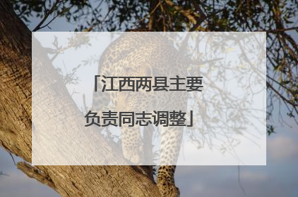江西两县主要负责同志调整