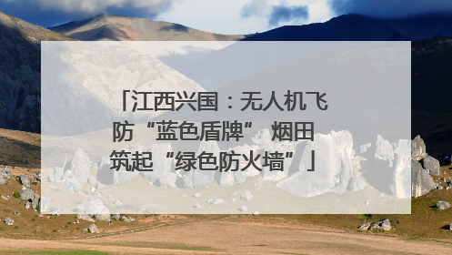 江西兴国：无人机飞防“蓝色盾牌” 烟田筑起“绿色防火墙”