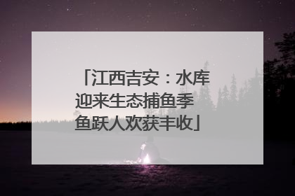 江西吉安：水库迎来生态捕鱼季 鱼跃人欢获丰收