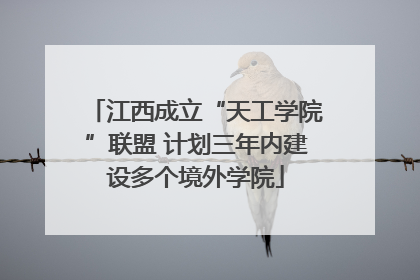 江西成立“天工学院”联盟 计划三年内建设多个境外学院