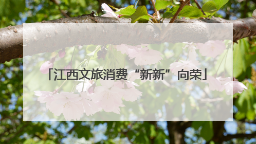 江西文旅消费“新新”向荣