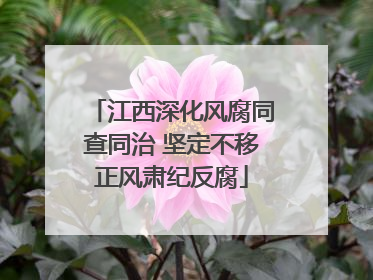 江西深化风腐同查同治 坚定不移正风肃纪反腐