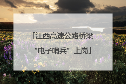 江西高速公路桥梁“电子哨兵”上岗