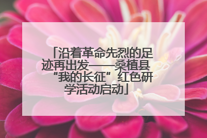 沿着革命先烈的足迹再出发——桑植县“我的长征”红色研学活动启动