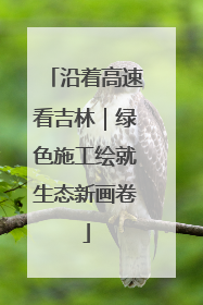 沿着高速看吉林｜绿色施工绘就生态新画卷