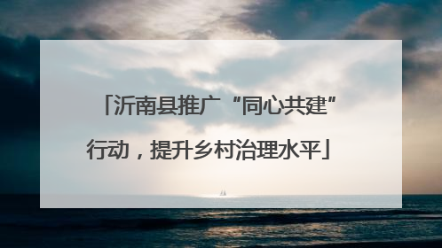 沂南县推广“同心共建”行动，提升乡村治理水平
