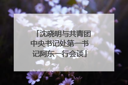 沈晓明与共青团中央书记处第一书记阿东一行会谈