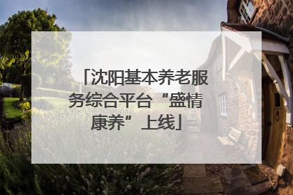 沈阳基本养老服务综合平台“盛情康养”上线