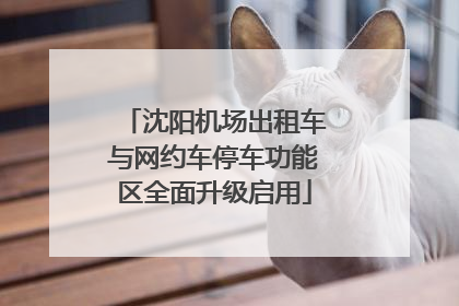 沈阳机场出租车与网约车停车功能区全面升级启用