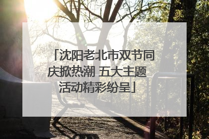 沈阳老北市双节同庆掀热潮 五大主题活动精彩纷呈