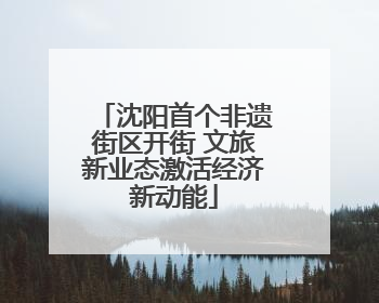 沈阳首个非遗街区开街 文旅新业态激活经济新动能