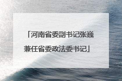 河南省委副书记张巍兼任省委政法委书记