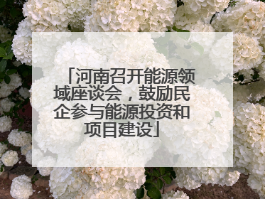 河南召开能源领域座谈会，鼓励民企参与能源投资和项目建设