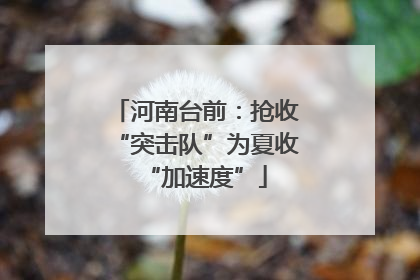 河南台前：抢收“突击队”为夏收“加速度”