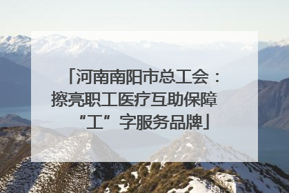 河南南阳市总工会：擦亮职工医疗互助保障“工”字服务品牌