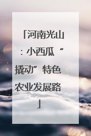 河南光山：小西瓜“撬动”特色农业发展路
