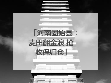 河南固始县：麦田翻金浪 抢收保归仓