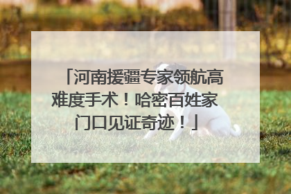 河南援疆专家领航高难度手术！哈密百姓家门口见证奇迹！