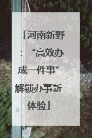 河南新野：“高效办成一件事”解锁办事新体验