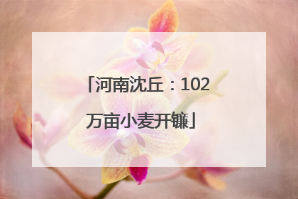 河南沈丘：102 万亩小麦开镰