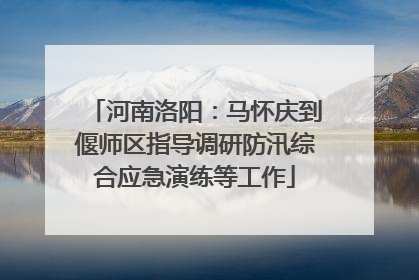 河南洛阳：马怀庆到偃师区指导调研防汛综合应急演练等工作