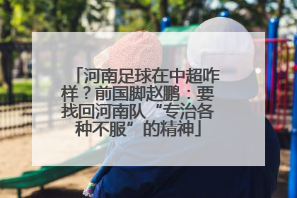 河南足球在中超咋样？前国脚赵鹏：要找回河南队“专治各种不服”的精神