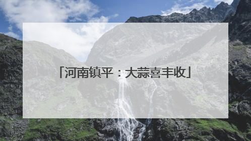 河南镇平：大蒜喜丰收