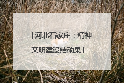 河北石家庄：精神文明建设结硕果