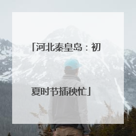 河北秦皇岛：初夏时节插秧忙